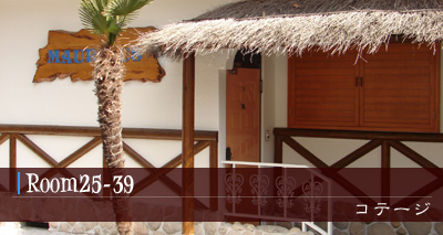 Room25-39 旧館客室